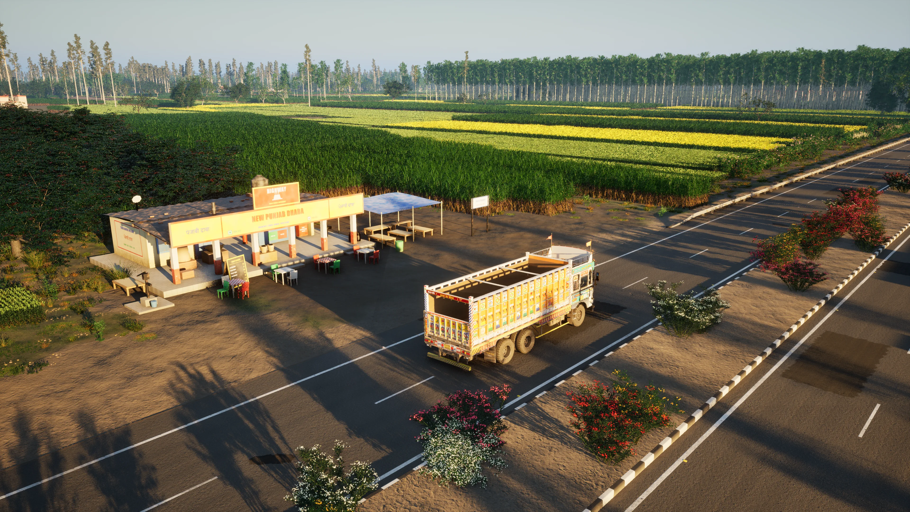 High view of a painted truck beside the New Punjab Dhaba, green fields with strips of yellow mustard behind, in low evening sun