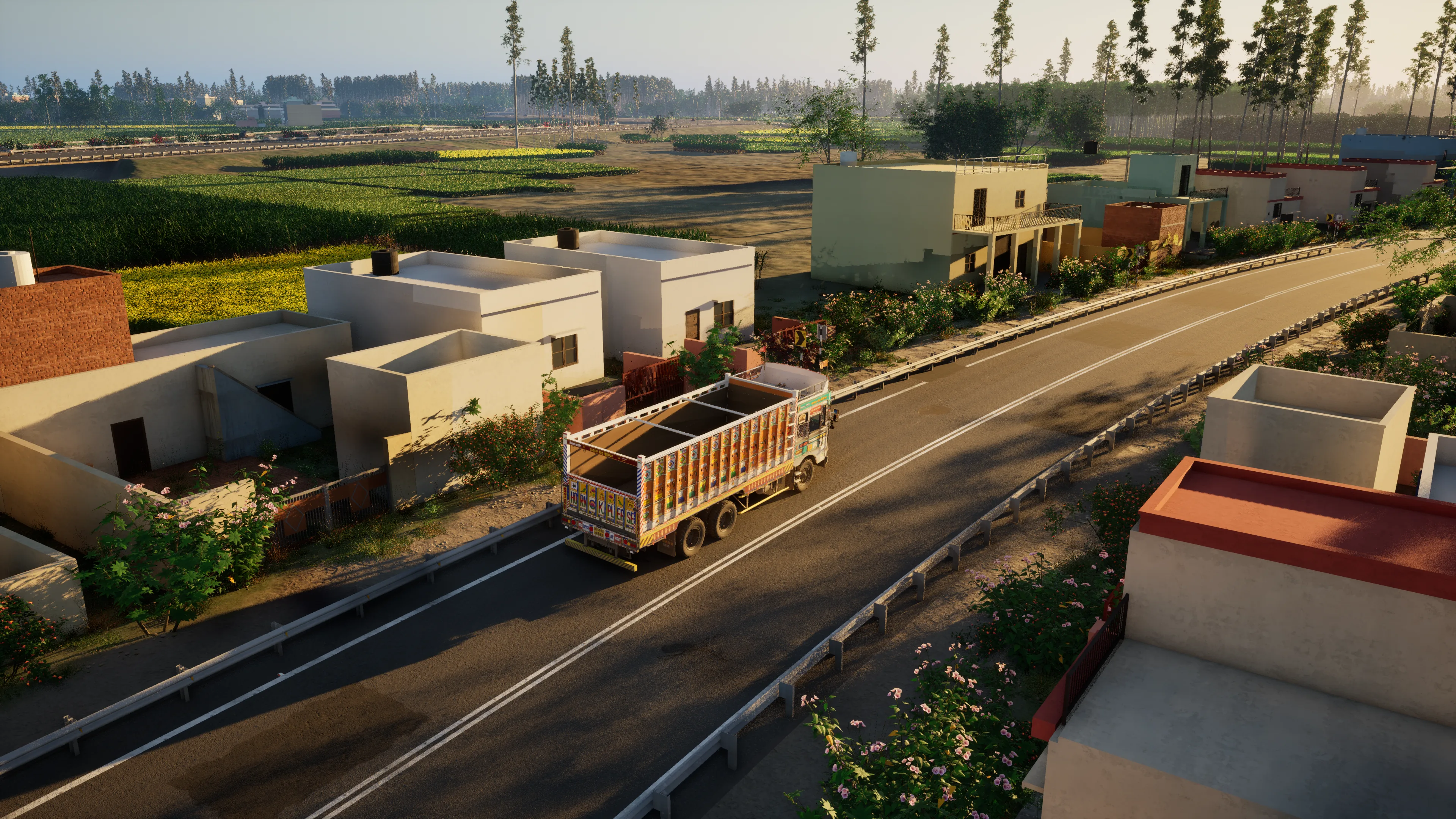 High view of a painted truck on a road through a village in low evening sun, fields with strips of yellow mustard and rows of poplars behind